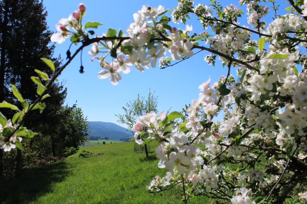 Moderne Ferienwohnung Mit Eigenem Garten Und Traumhaften Blick Wilhelmsthal Eksteriør billede